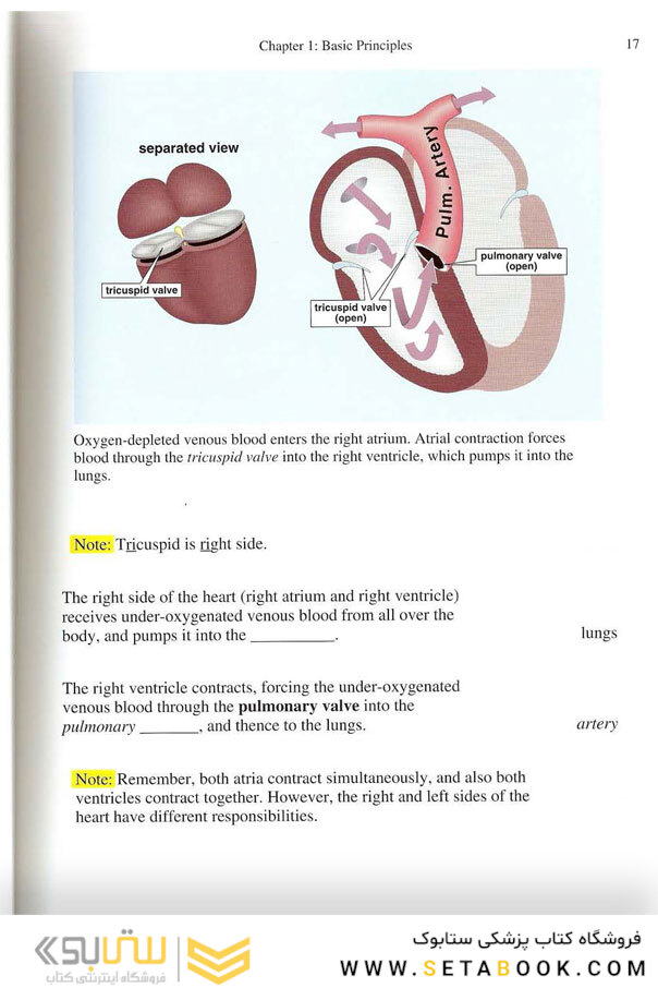 EKG Rapid Interpretation of EKG