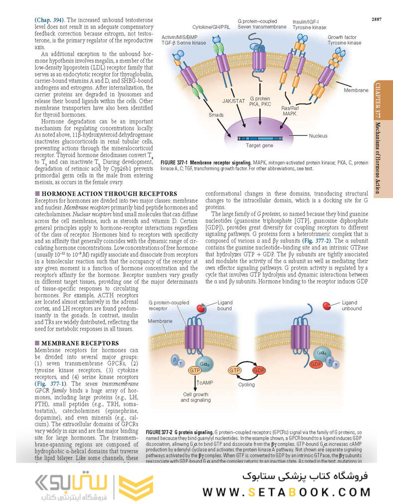 HARRISONS PRINCIPLES OF INTERNAL MEDICINE Part Endocrinology