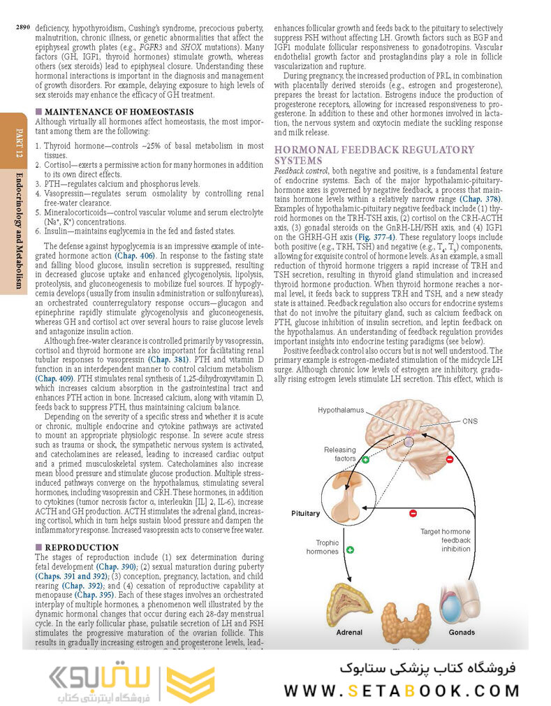 HARRISONS PRINCIPLES OF INTERNAL MEDICINE Part Endocrinology