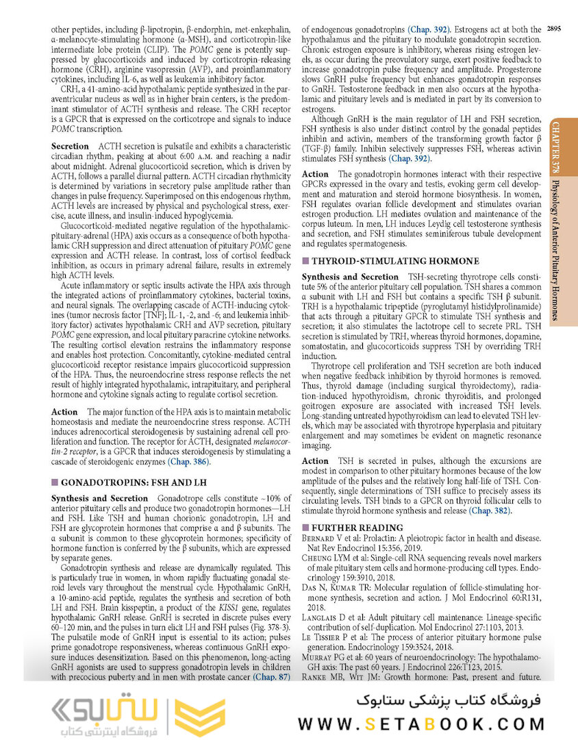 HARRISONS PRINCIPLES OF INTERNAL MEDICINE Part Endocrinology