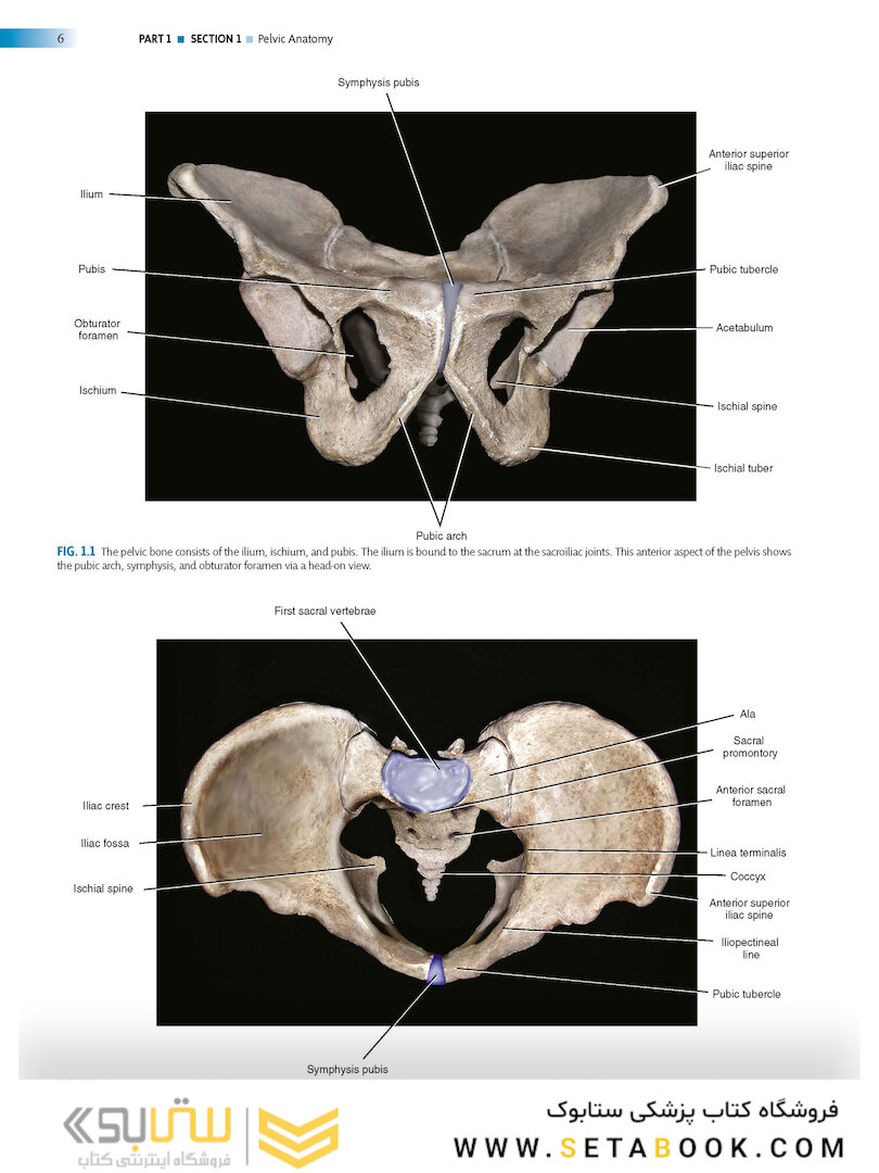 Atlas of Pelvic Anatomy and Gynecologic Surgery 5th Edicion