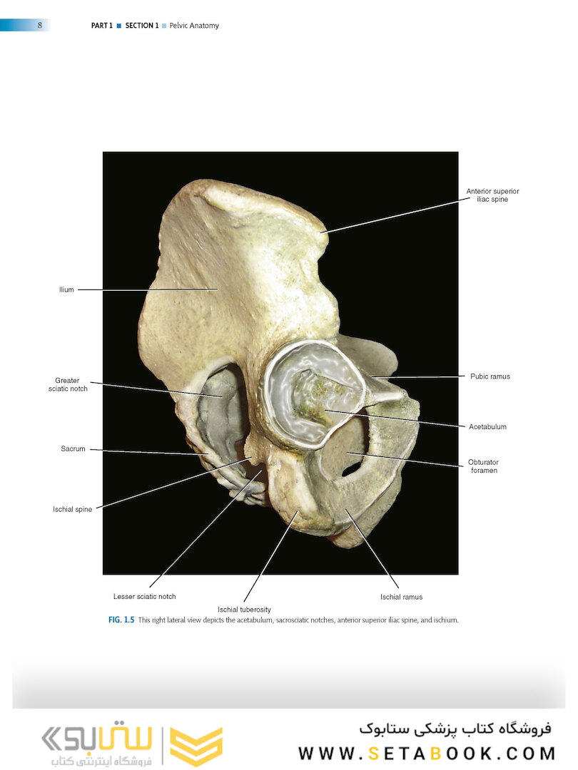 Atlas of Pelvic Anatomy and Gynecologic Surgery 5th Edicion