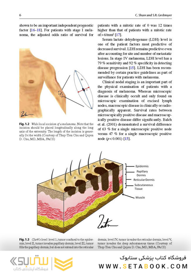 Surgical Oncology : A Practical and Comprehensive Approach 2016