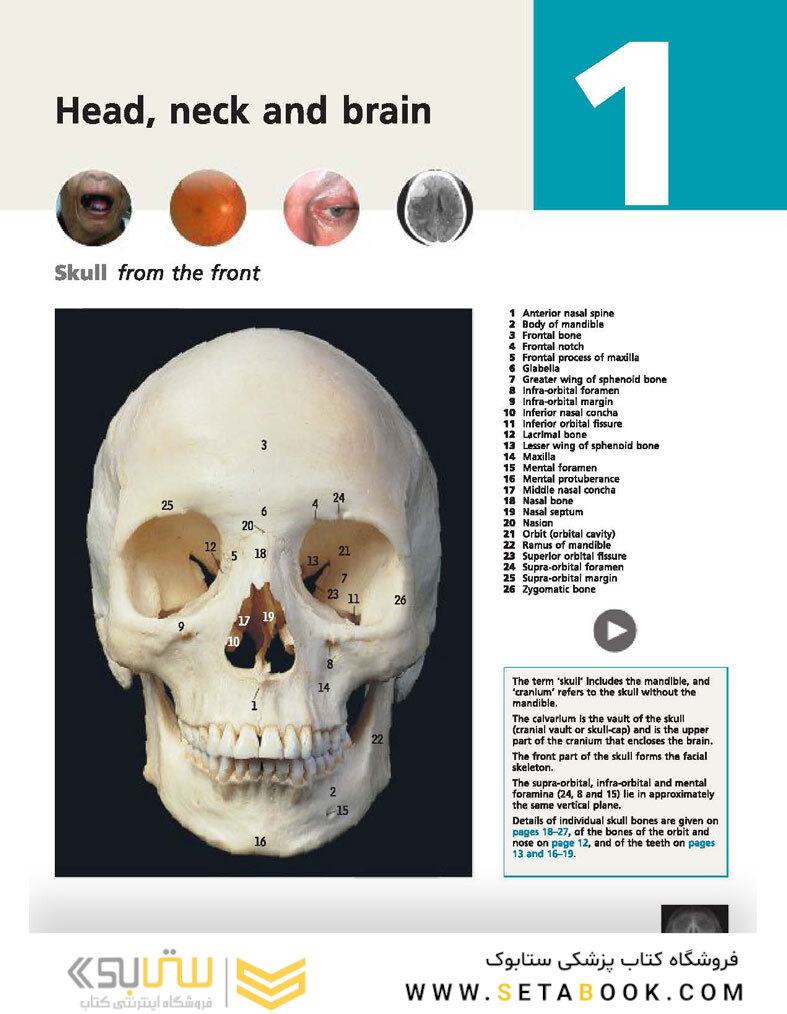 McMinn and Abrahams’ Clinical Atlas of Human Anatomy 8th Edition
