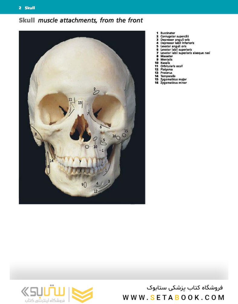 McMinn and Abrahams’ Clinical Atlas of Human Anatomy 8th Edition