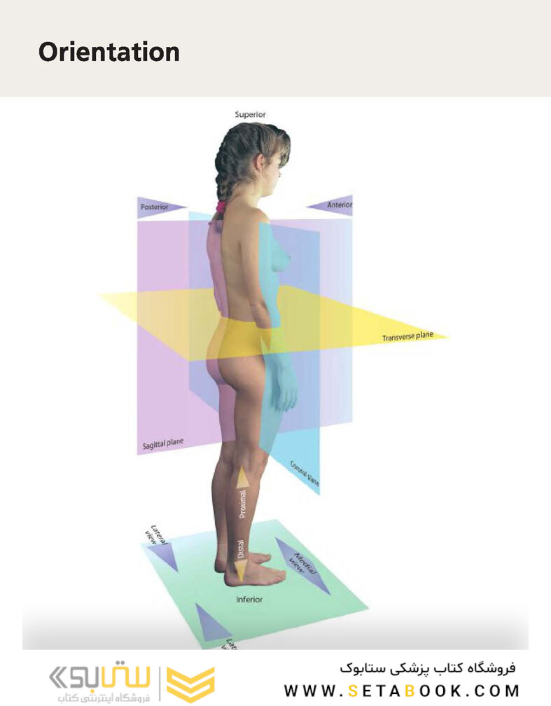 McMinn and Abrahams’ Clinical Atlas of Human Anatomy 8th Edition
