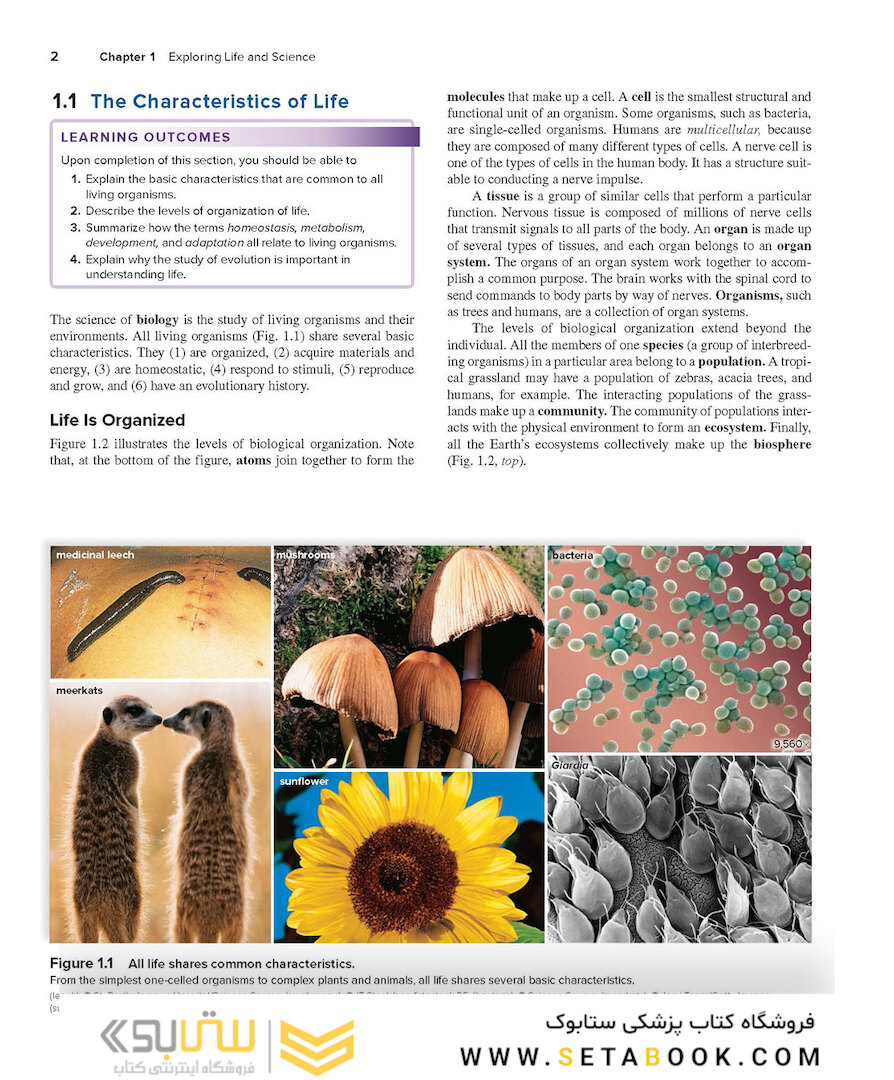 Human Biology, 15th Edition2017 زیست شناسی انسانی
