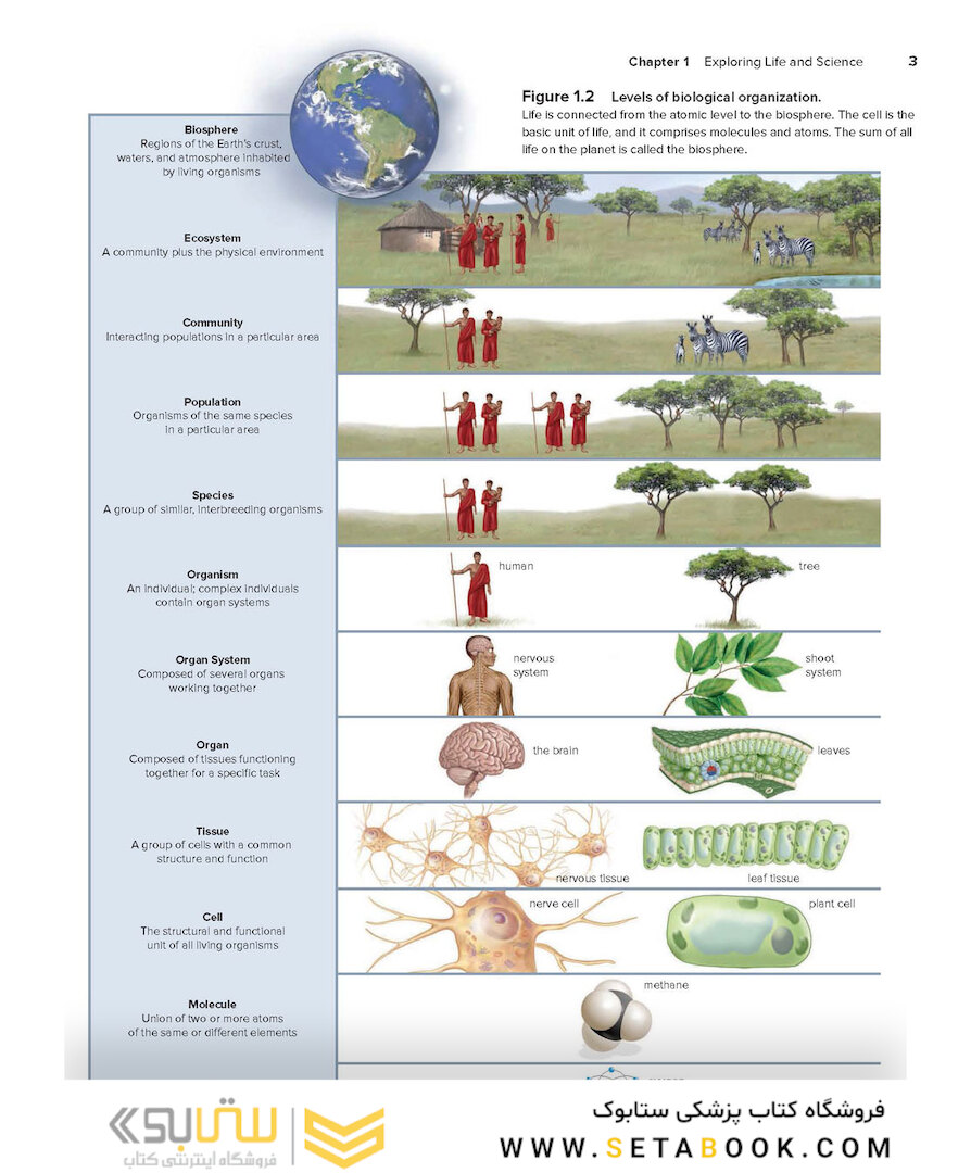 Human Biology, 15th Edition2017 زیست شناسی انسانی