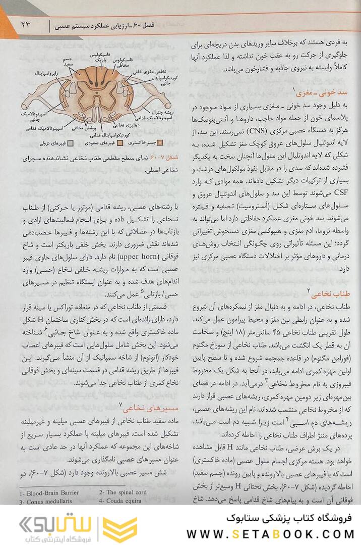 پرستاری داخلی جراحی برونر مغز و اعصاب  2022 جلد 15