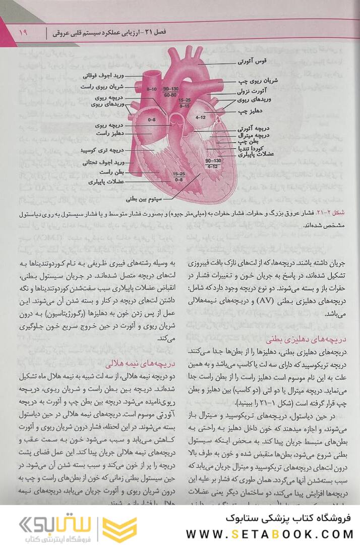 پرستاری داخلی جراحی برونر قلب و عروق و گردش خون  2022 جلد 5
