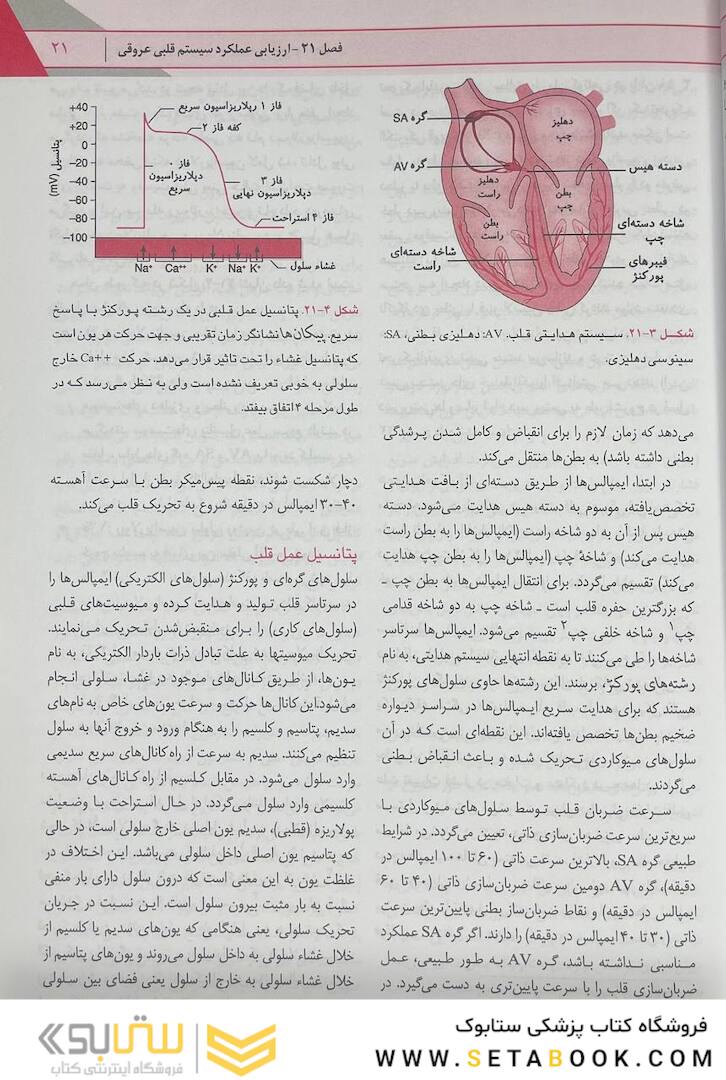 پرستاری داخلی جراحی برونر قلب و عروق و گردش خون  2022 جلد 5
