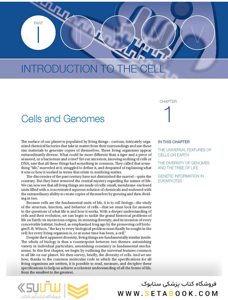 Molecular Biology of the Cell