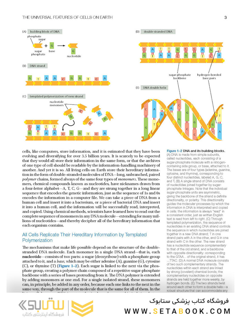 Molecular Biology of the Cell