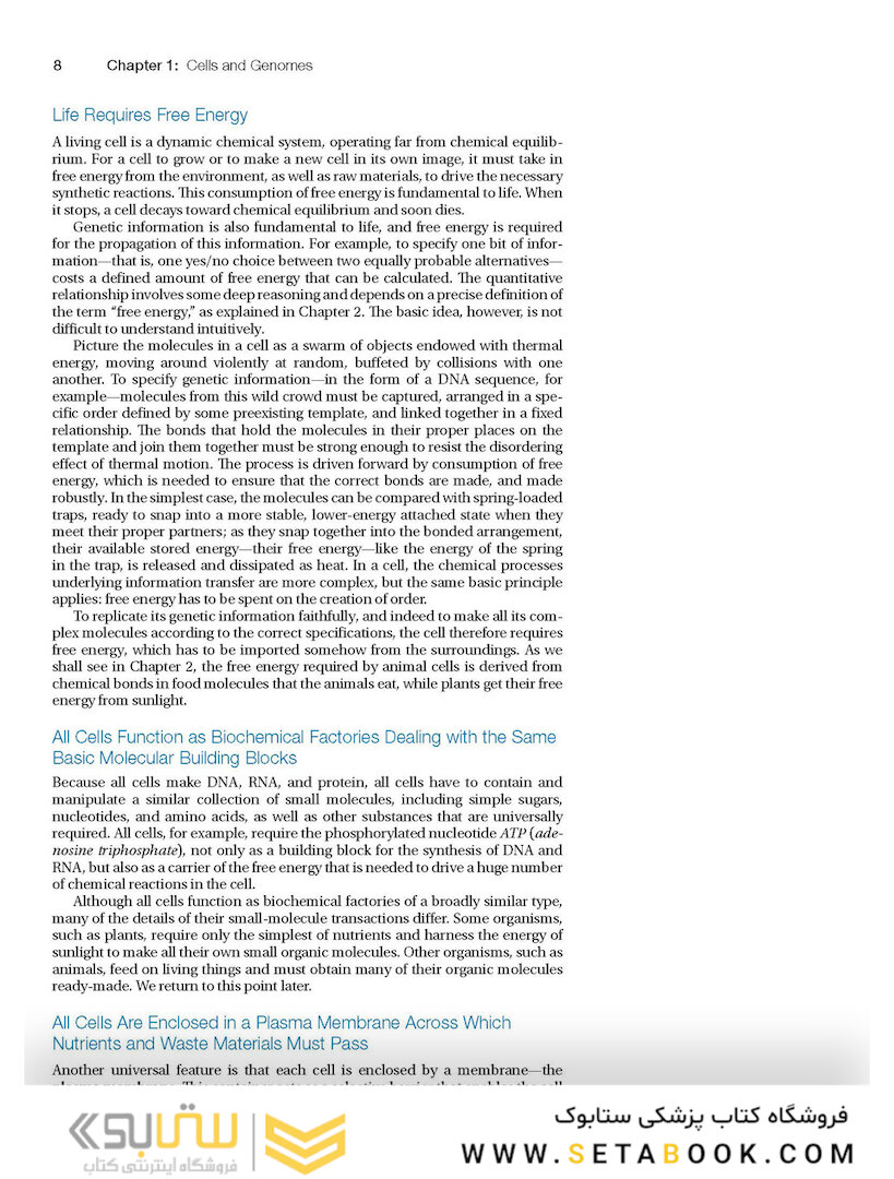 Molecular Biology of the Cell