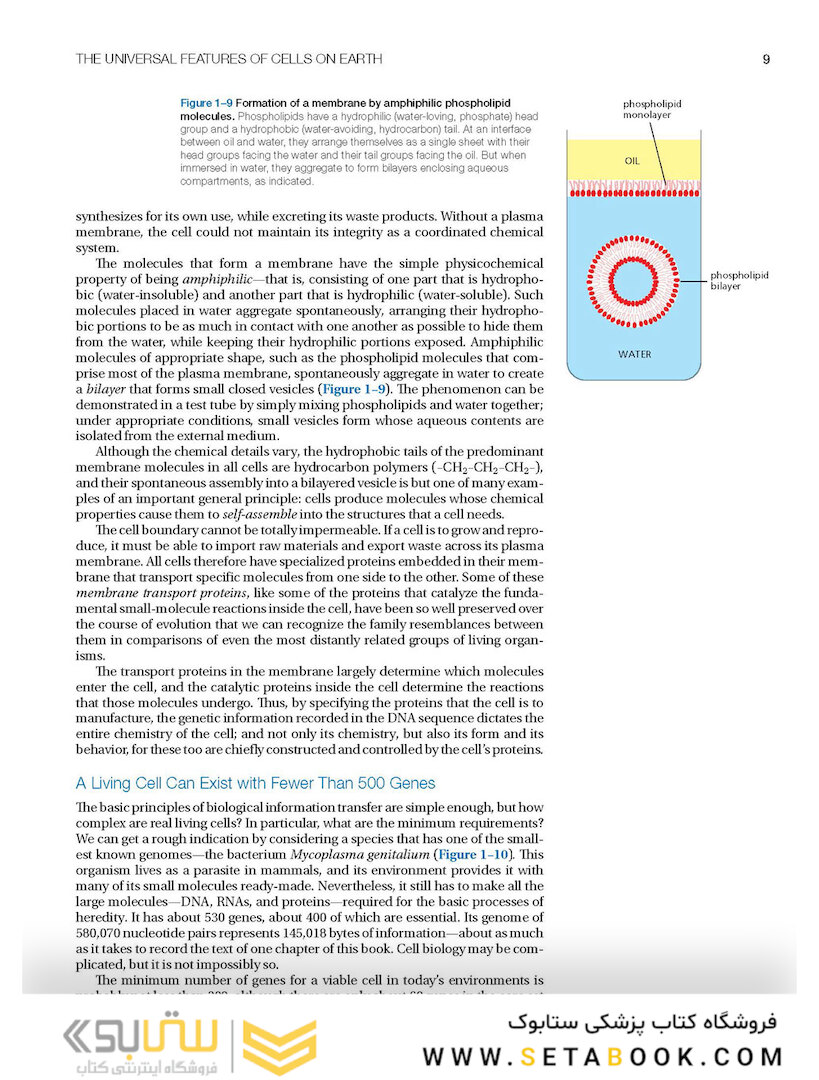 Molecular Biology of the Cell