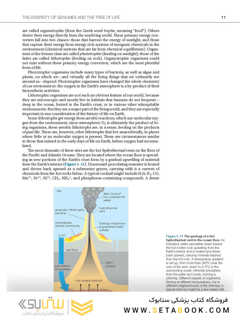 Molecular Biology of the Cell