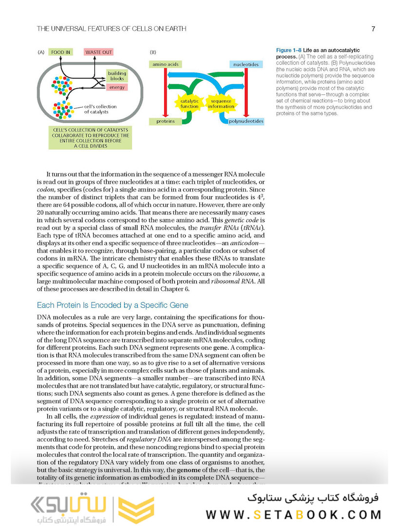 Molecular Biology of the Cell