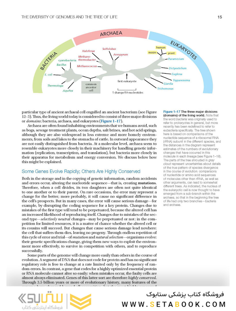 Molecular Biology of the Cell