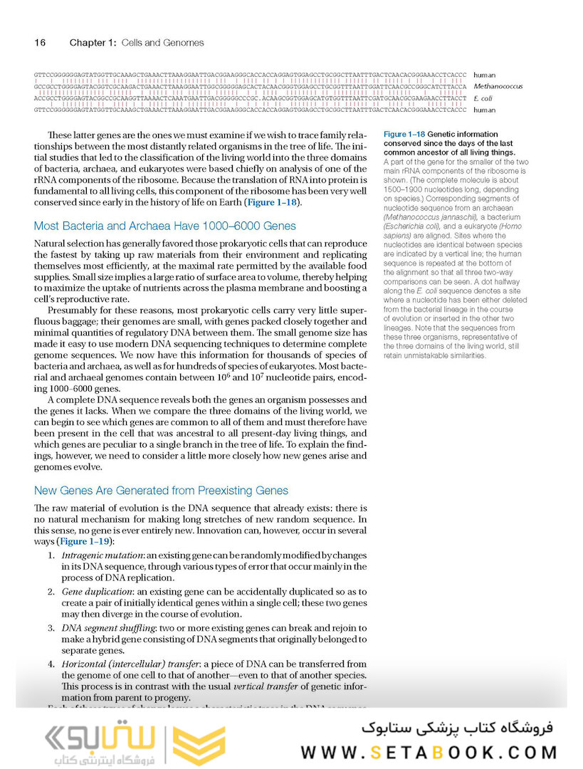 Molecular Biology of the Cell