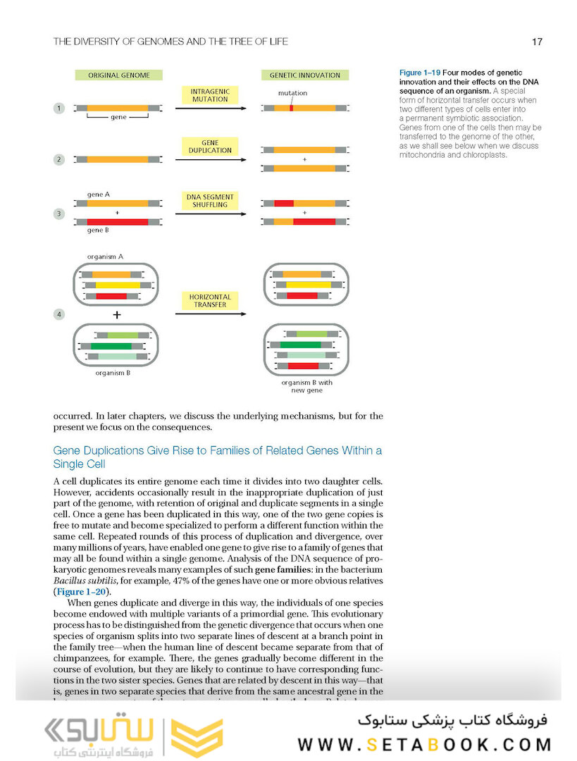 Molecular Biology of the Cell