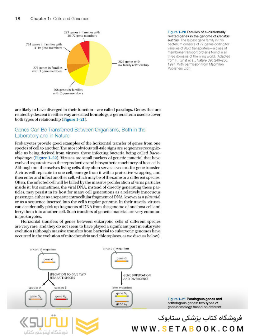 Molecular Biology of the Cell