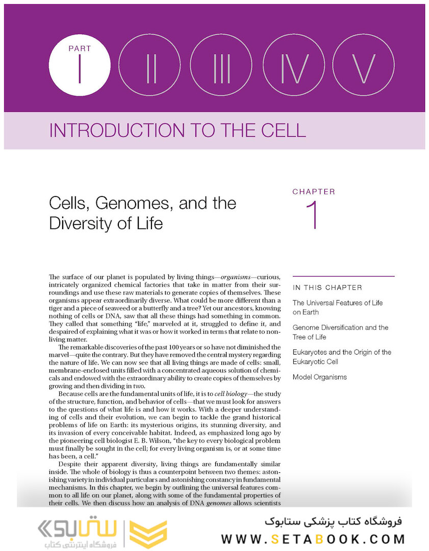 Molecular Biology of the Cell