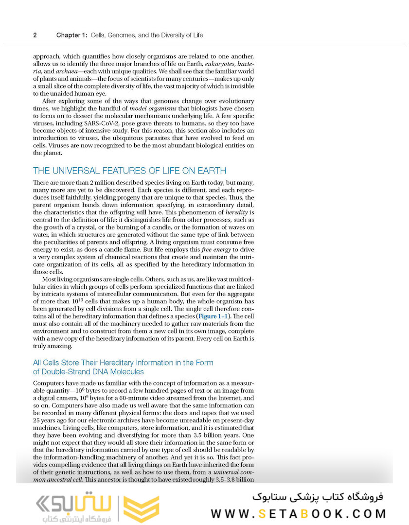 Molecular Biology of the Cell