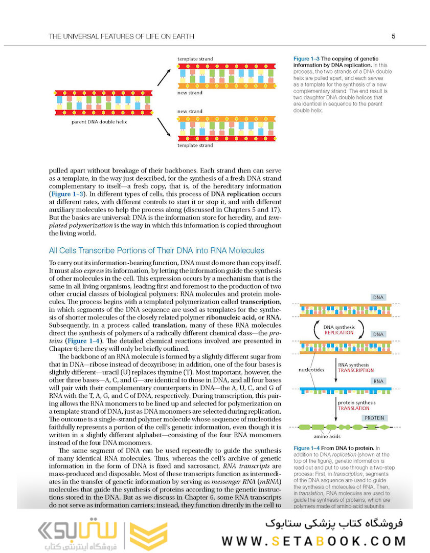 Molecular Biology of the Cell