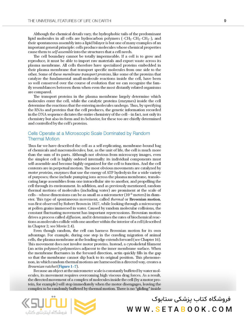 Molecular Biology of the Cell