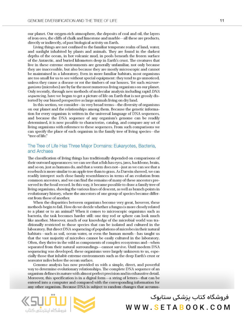 Molecular Biology of the Cell