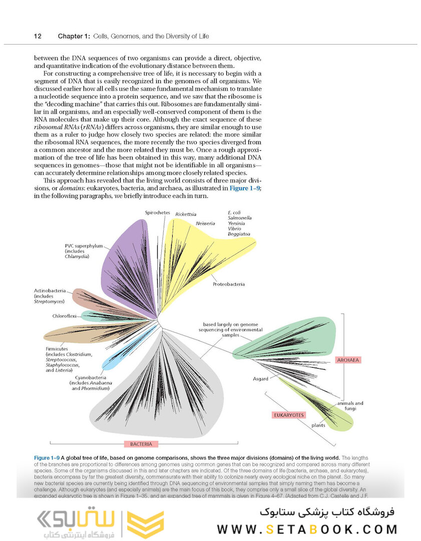 Molecular Biology of the Cell