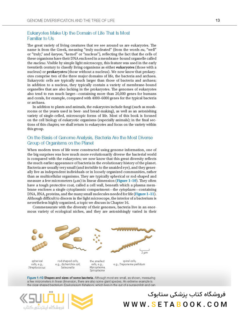 Molecular Biology of the Cell