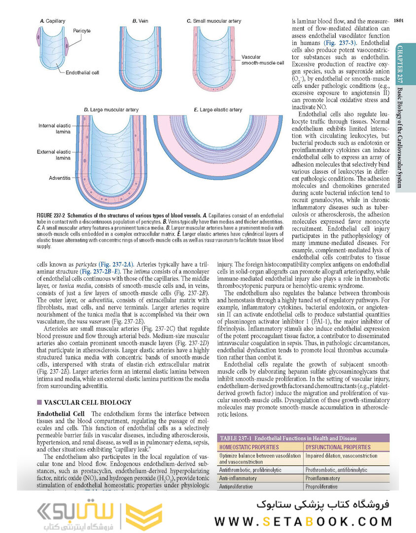 HARRISONS PRINCIPLES OF INTERNAL MEDICINE Part Disorders oF the cardiovascular System