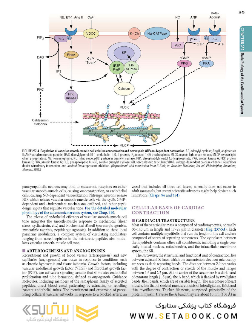 HARRISONS PRINCIPLES OF INTERNAL MEDICINE Part Disorders oF the cardiovascular System