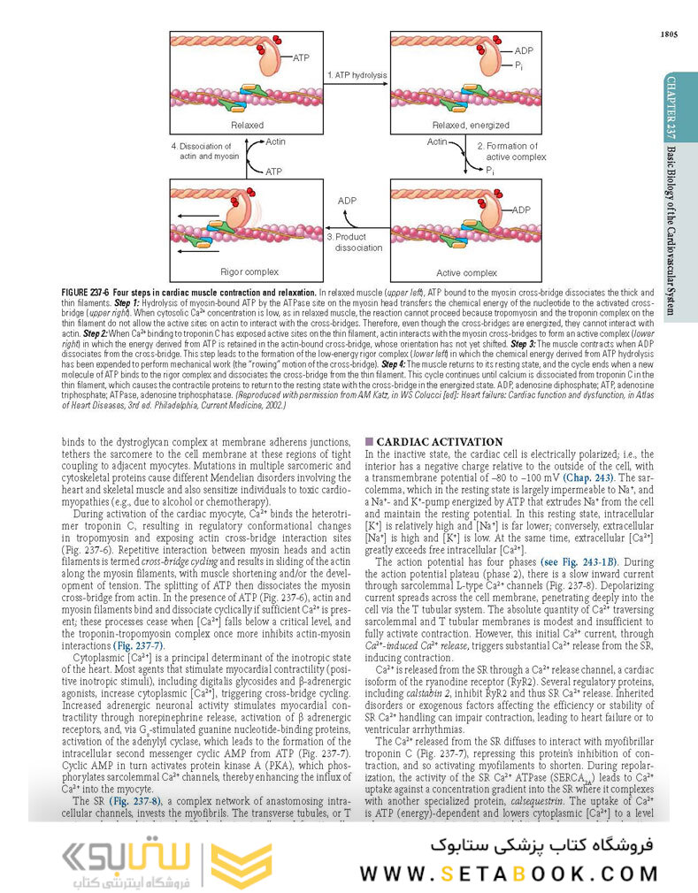 HARRISONS PRINCIPLES OF INTERNAL MEDICINE Part Disorders oF the cardiovascular System