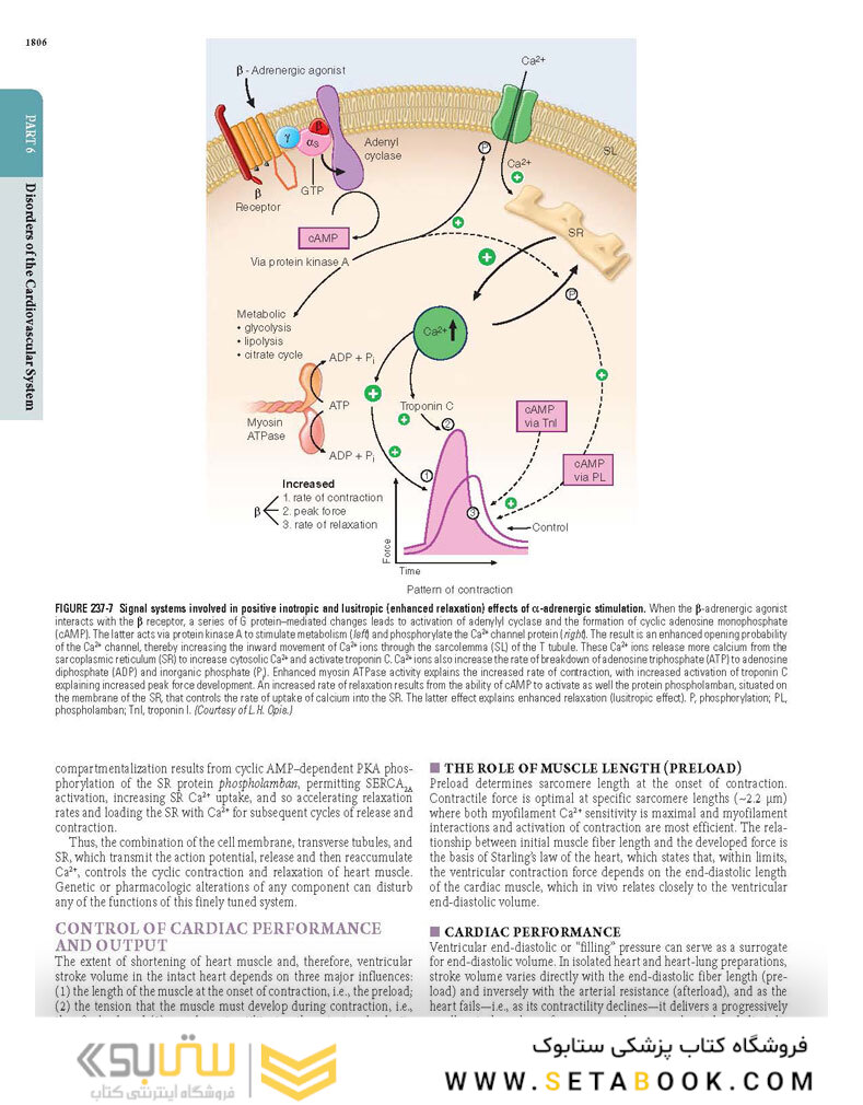 HARRISONS PRINCIPLES OF INTERNAL MEDICINE Part Disorders oF the cardiovascular System