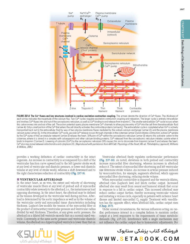 HARRISONS PRINCIPLES OF INTERNAL MEDICINE Part Disorders oF the cardiovascular System