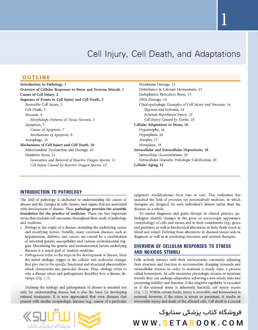 Robbins - Kumar Basic Pathology 11th Edicion