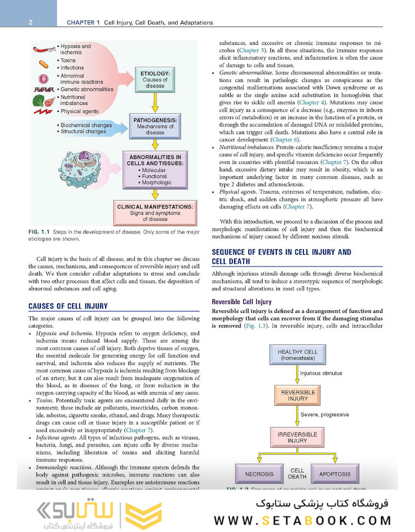 Robbins - Kumar Basic Pathology 11th Edicion