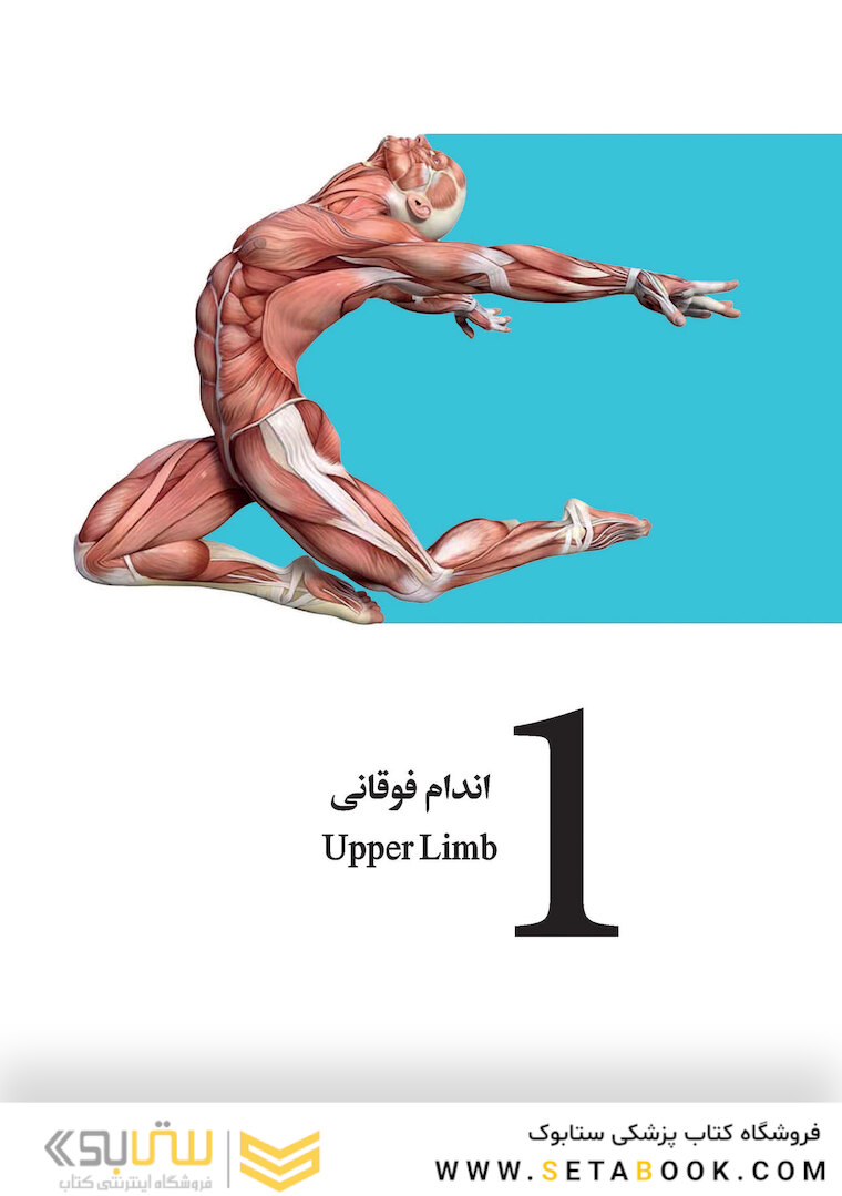 آناتومی اندام پایه و بالینی 2019