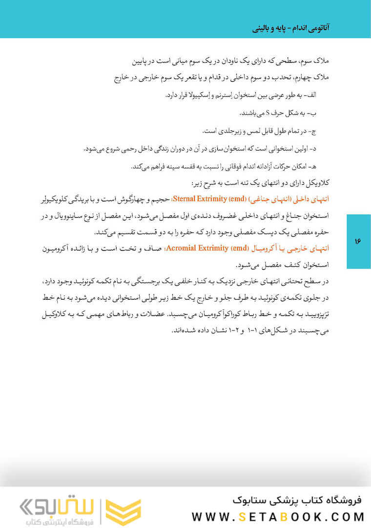 آناتومی اندام پایه و بالینی 2019