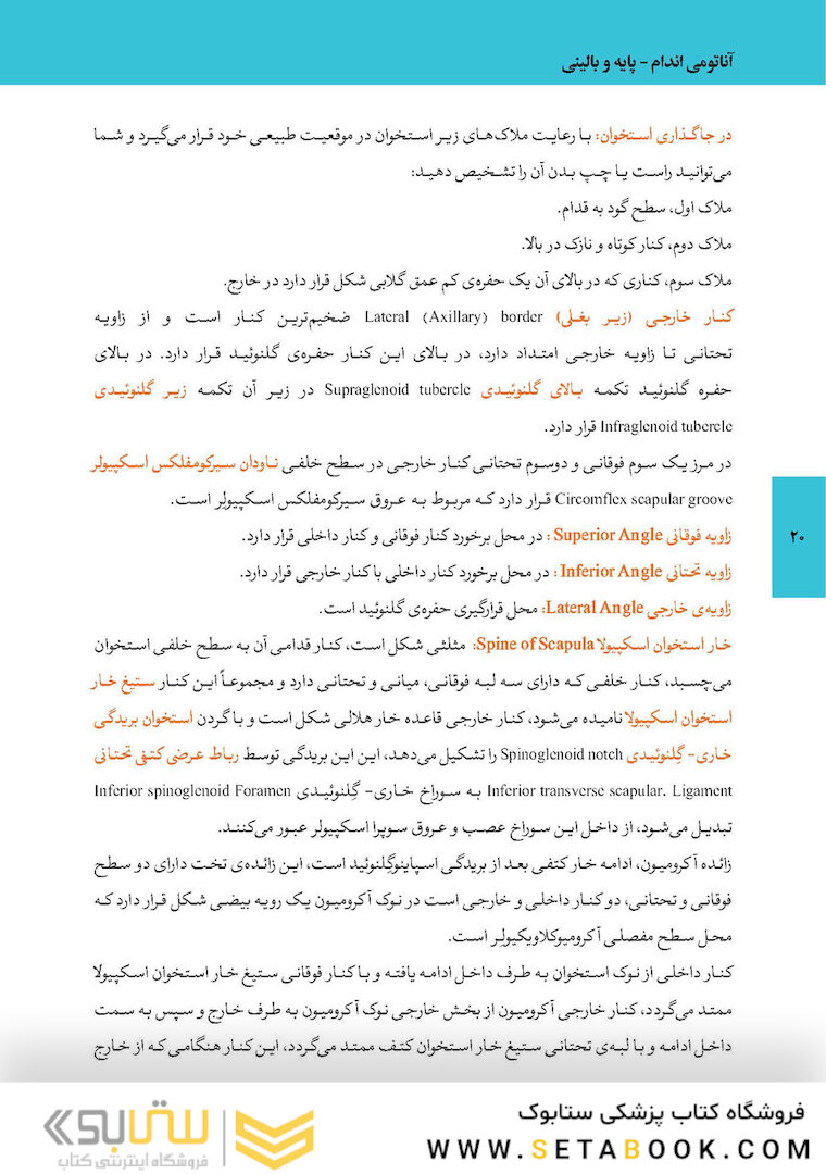 آناتومی اندام پایه و بالینی 2019