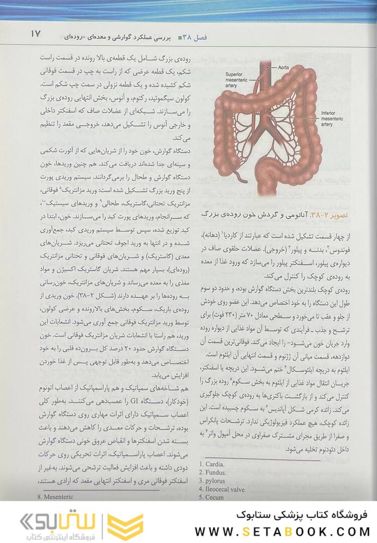 پرستاری داخلی جراحی برونر سودارث 2022 گوارش جلد 9