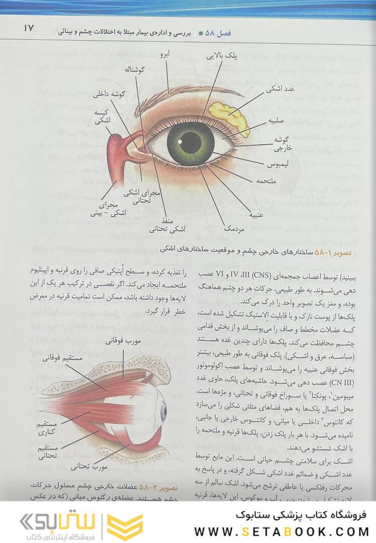 پرستاری داخلی جراحی برونر سودارث 2022 چشم و گوش جلد 14