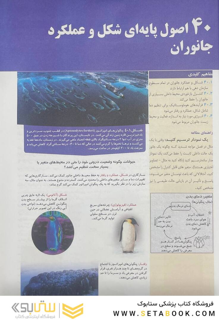 بیولوژی کمپبل 2021 جلد 6 ساختار و عمل جانوران