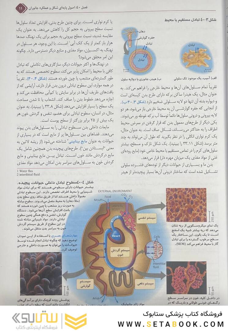 بیولوژی کمپبل 2021 جلد 6 ساختار و عمل جانوران