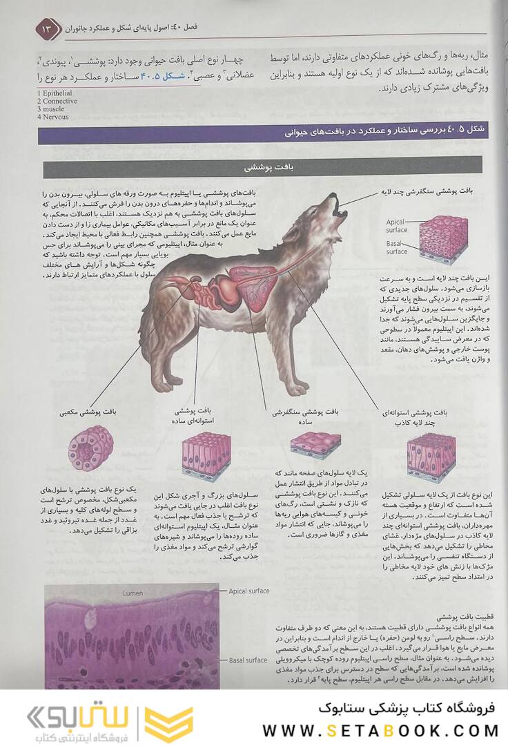 بیولوژی کمپبل 2021 جلد 6 ساختار و عمل جانوران