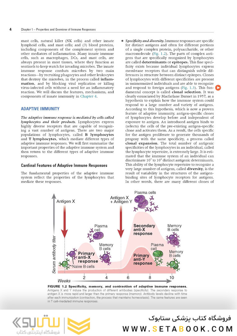 Cellular and Molecular Immunology 9th Edition 2018