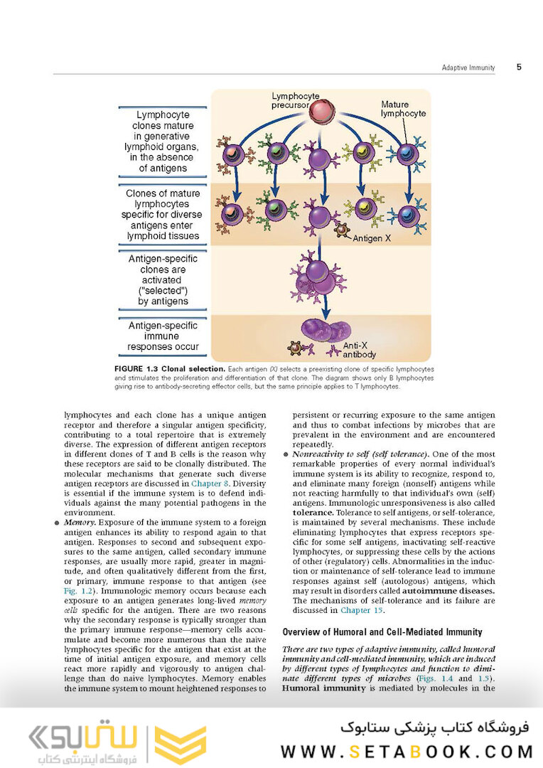 Cellular and Molecular Immunology 9th Edition 2018