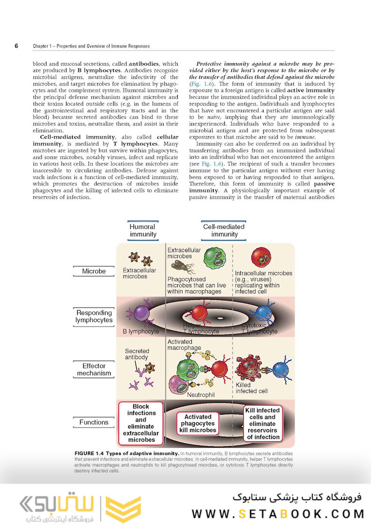 Cellular and Molecular Immunology 9th Edition 2018